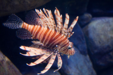 Similar image 1098377