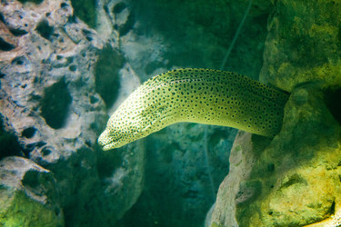 Similar image 1098379