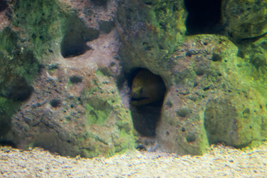 Similar image 1098380