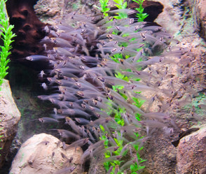 Similar image 1098381