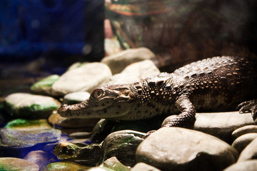 Similar image 1098382