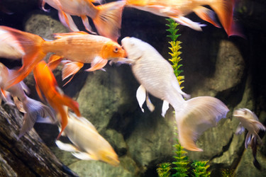 Similar image 1098383