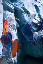 Similar image 1098385