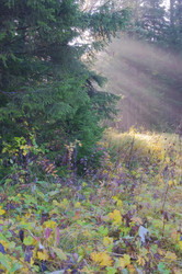 Similar image 1098397