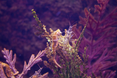 Similar image 1098405