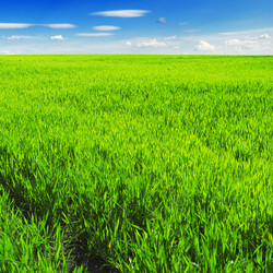 Similar image 1098428