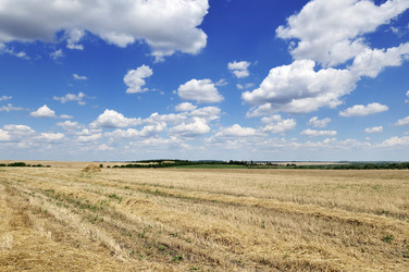 Similar image 1098431