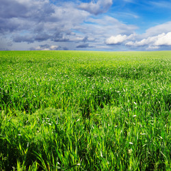 Similar image 1098447