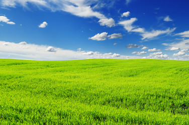 Similar image 1098459