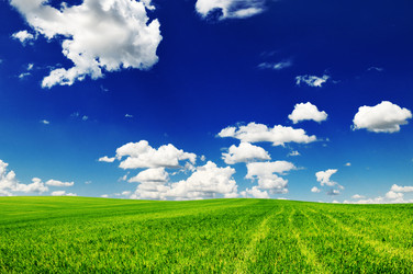 Similar image 1098469