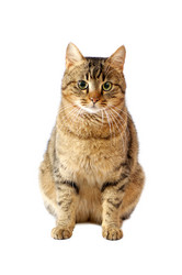 Similar image 1098470