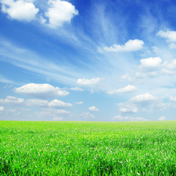 Similar image 1098478