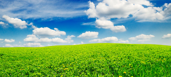 Similar image 1098480