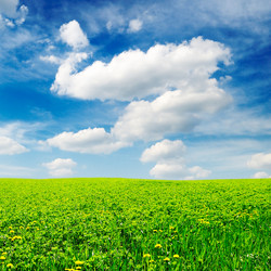 Similar image 1098485