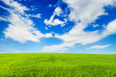 Similar image 1098486