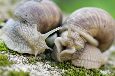 Similar image 1098500