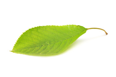 Similar image 1098525