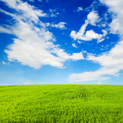 Similar image 1098529