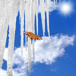 Similar image 1098543