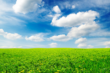 Similar image 1098546