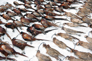 Similar image 1098617