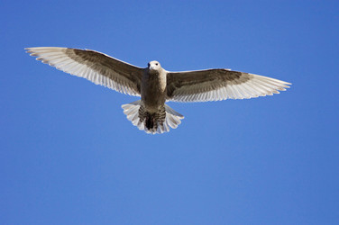 Similar image 1098618