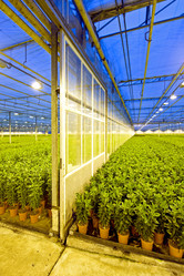 Similar image 1098619