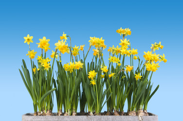 Similar image 1098620