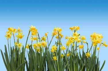 Similar image 1098622