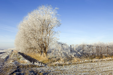 Similar image 1098623