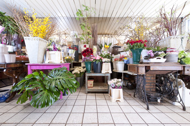 Similar image 1098660