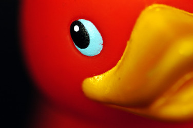 Similar image 1098674