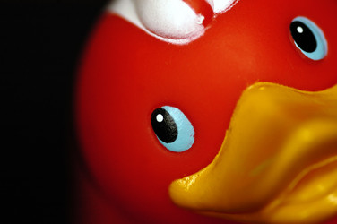 Similar image 1098685