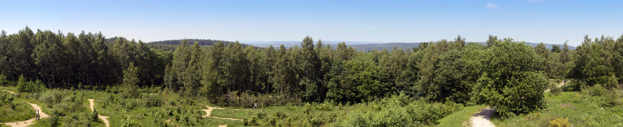 Similar image 1098768