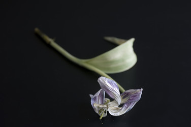 Similar image 1098777