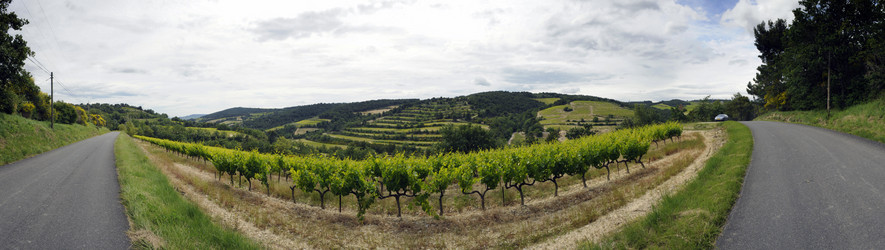 Similar image 1099185