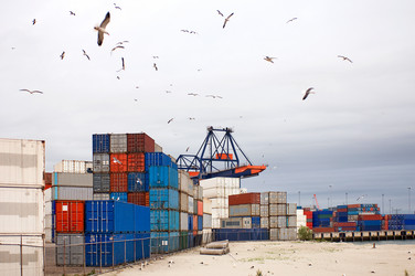 Similar image 1099233