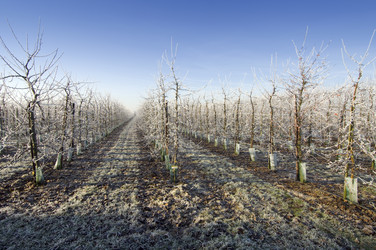 Similar image 1099314