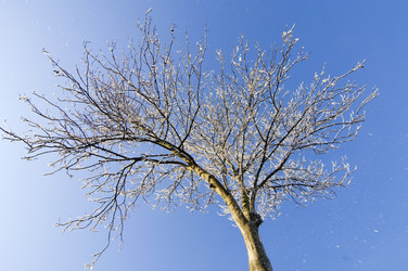 Similar image 1099315