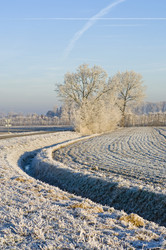 Similar image 1099317