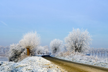 Similar image 1099319