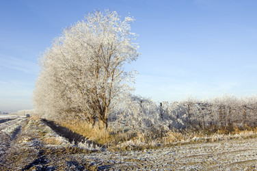 Similar image 1099350