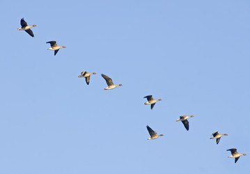 Similar image 1099351