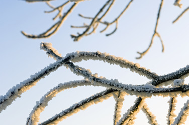 Similar image 1099354