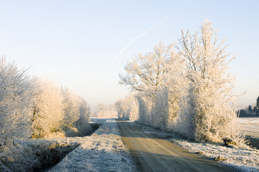 Similar image 1099356