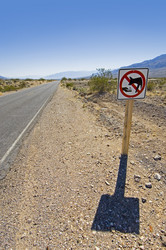 Similar image 1099394