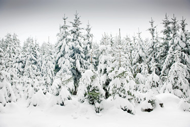 Similar image 1099401