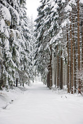 Similar image 1099402