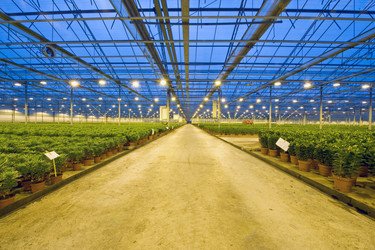 Similar image 1099410