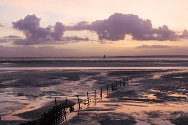 Similar image 1099417